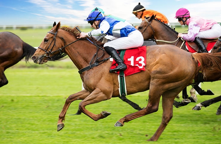 Image showing a horse race