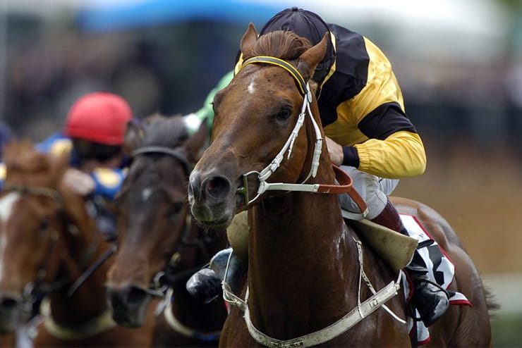 A Jockey in the middle of race on his horse.